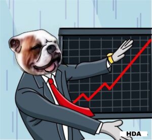 HDA MEME COIN